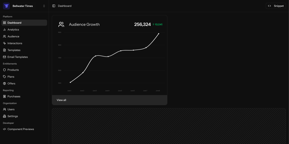 Allegro Audience dashboard