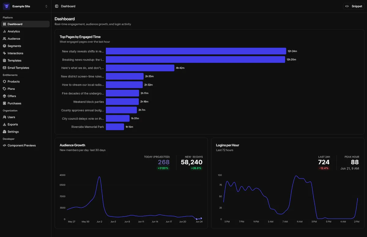 Allegro Audience dashboard
