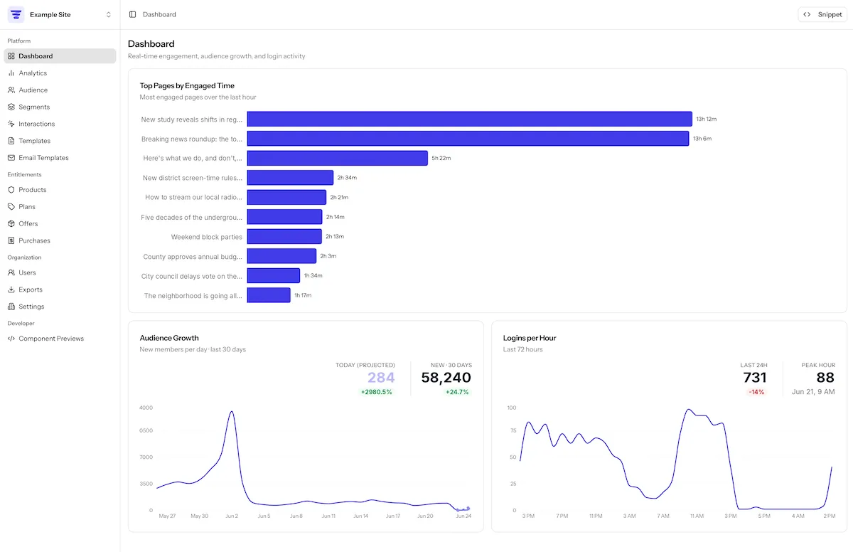 Allegro Audience dashboard